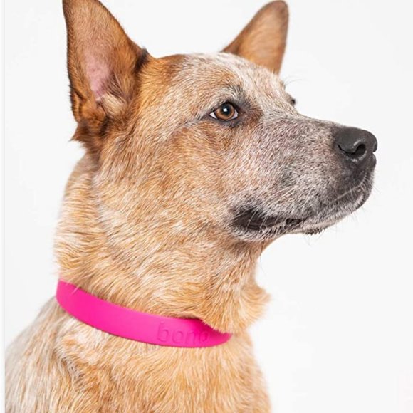 New Bond Waterproof Pink Dog Collar Sz M-L - Picture 3 of 4